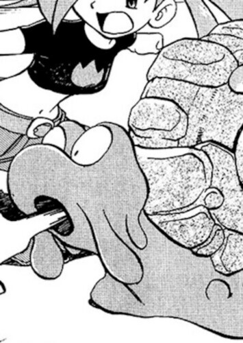 Flannery's Magcargo (English Dub)