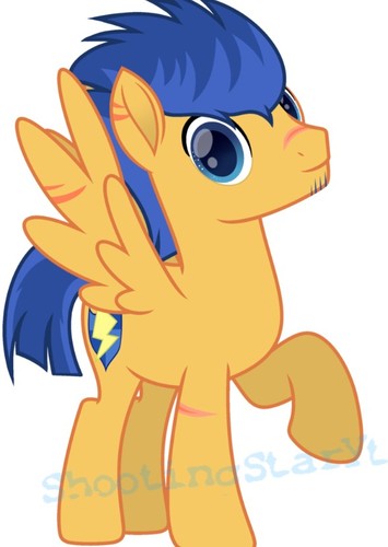 Flash Sentry