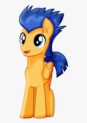 Flash Sentry