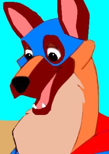 Flash the Wonder Dog