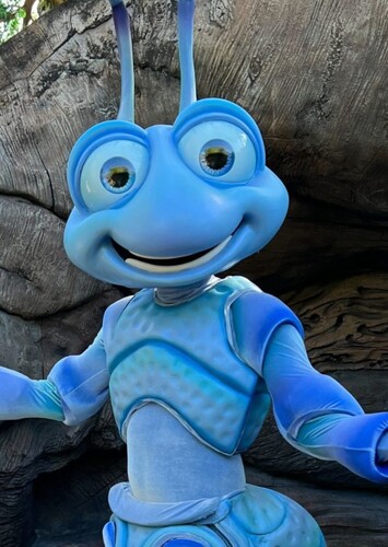 Flik