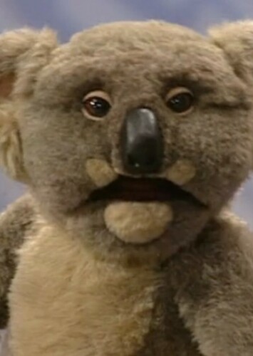 Flora the Koala