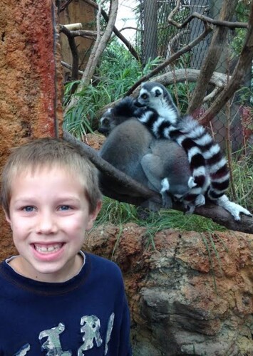 Florida Aquarium
