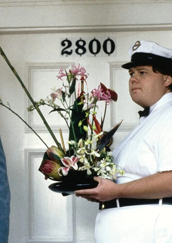 Flower Deliverywoman