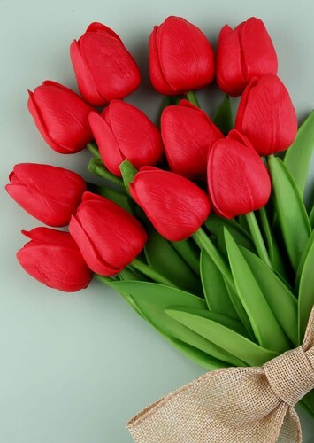 Flower: Tulip
