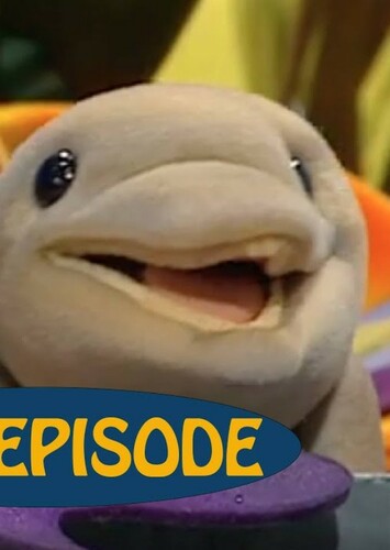 Fluke The Dolphin