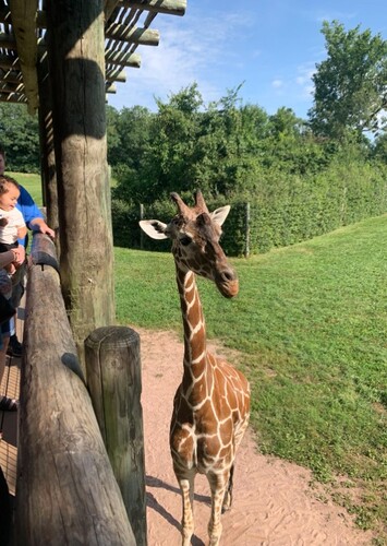 Fort Wayne Zoo