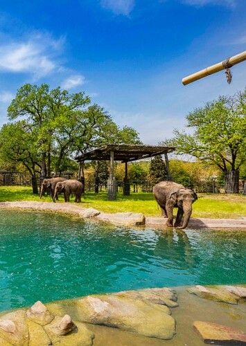 Fort Worth Zoo