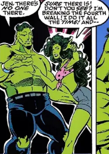 Fourth-Wall Observer