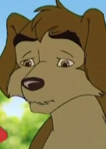 Fox, the Dog