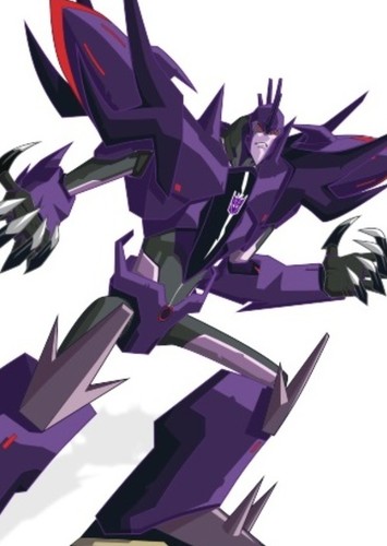 Fracture