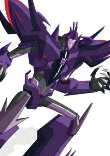 Fracture