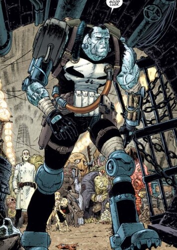 Frank Castle/FrankenCastle