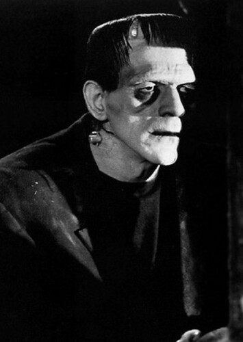 Frankenstein’s Monster