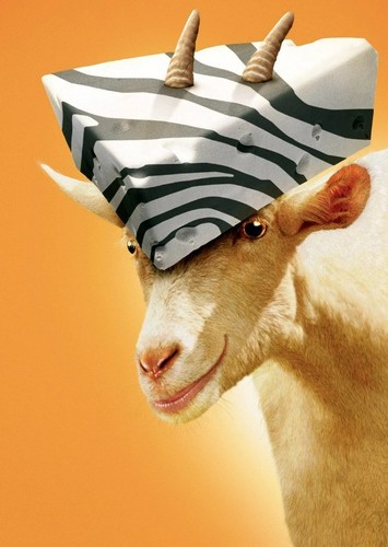 franny (Racing Stripes)
