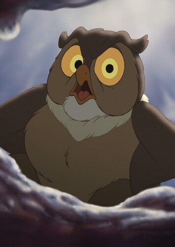 Friend owl
