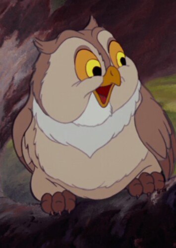 Friend Owl