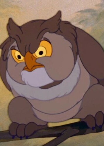 Friend Owl