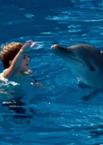 Friendly, Playful Dolphin