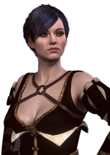 Fringilla Vigo