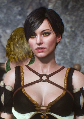 Fringilla Vigo