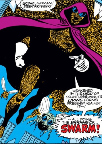 Fritz von Meyer/Swarm