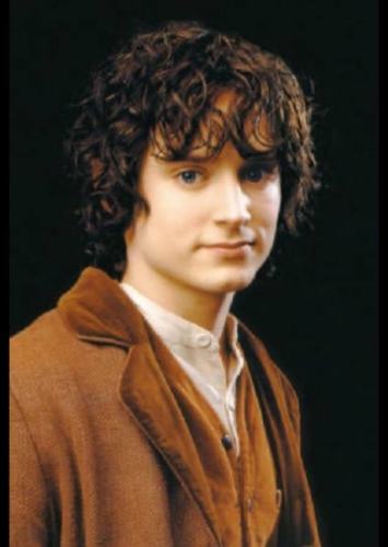 Frodo Baggins