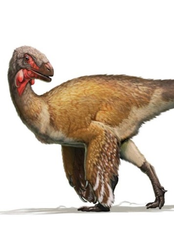 Fukuivenator