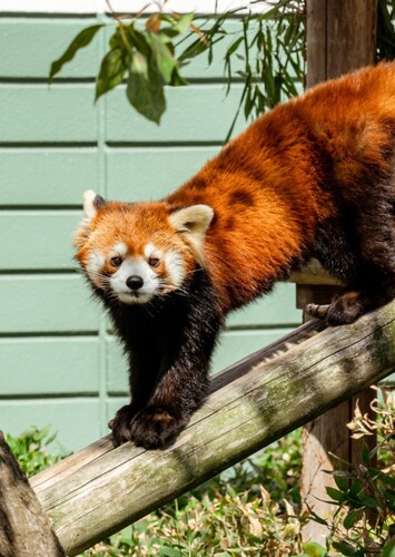 Fukuoka Municipal Zoo and Botanical Garden
