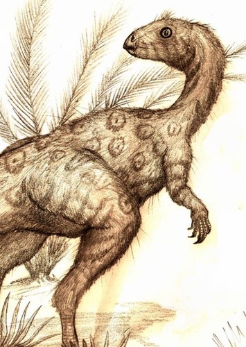 Fulgurotherium