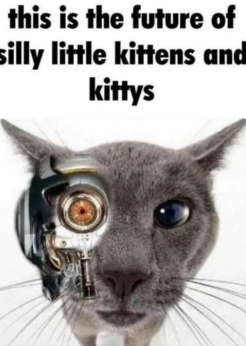 Future Kitty