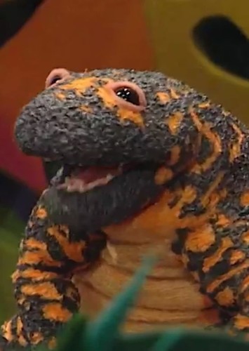 Gabi the Gila Monster
