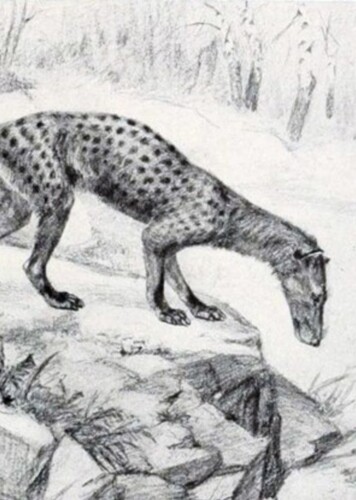 Galecyon