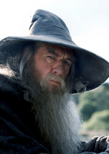 Gandalf the Grey