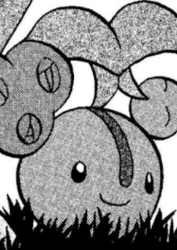 Gardenia's Cherubi (English Dub)