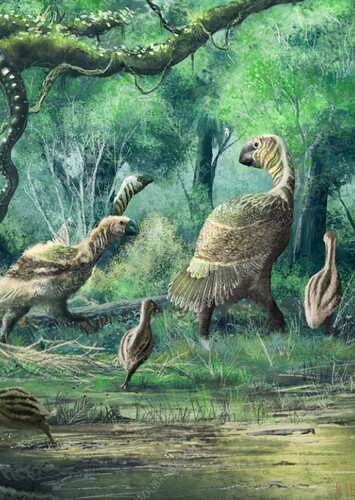 Gastornis