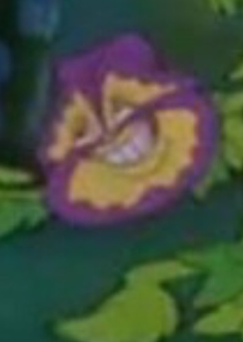 Generic Pansy