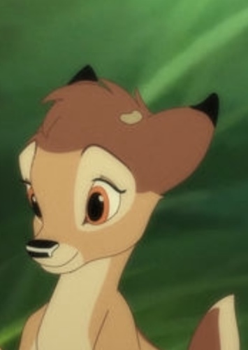 Geno (Fawn)