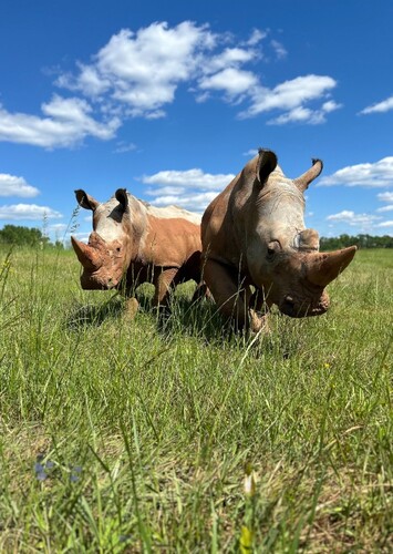 Georgia Safari Conservation Park