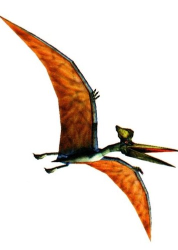Geosternbergia