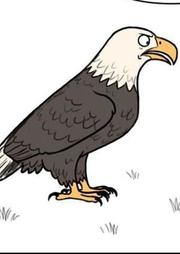Gerald
