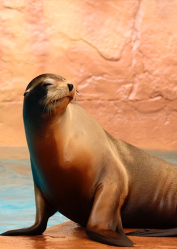 Gerald