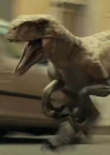 Ghost The Atrociraptor