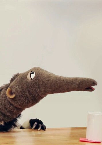 Giant Anteater