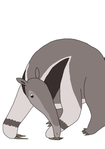 Giant Anteater Dad