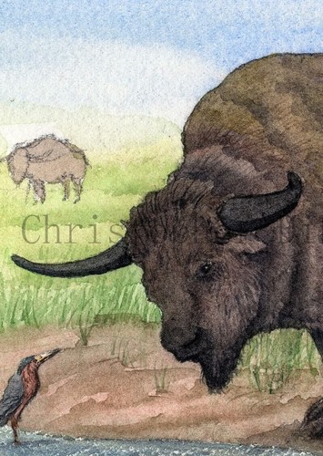 Giant Bison