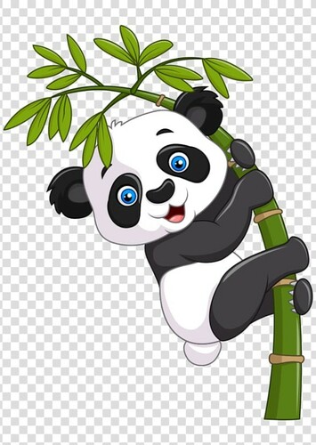 Giant Panda