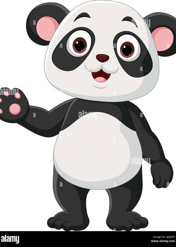 Giant Panda
