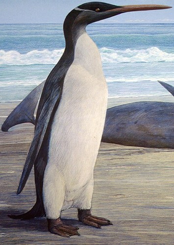 Giant Penguins