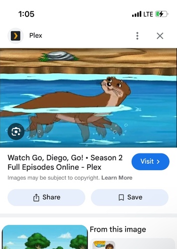 Giant river otter go Diego go